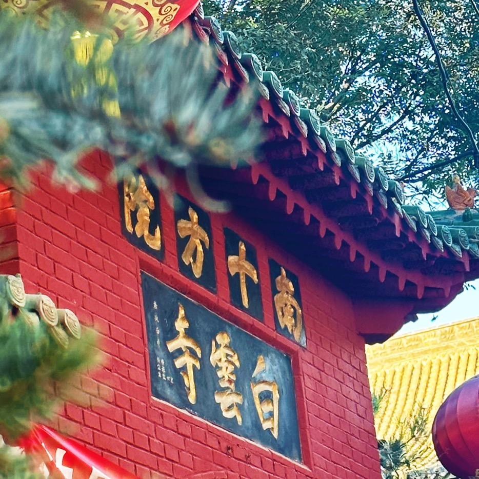 白云如愿