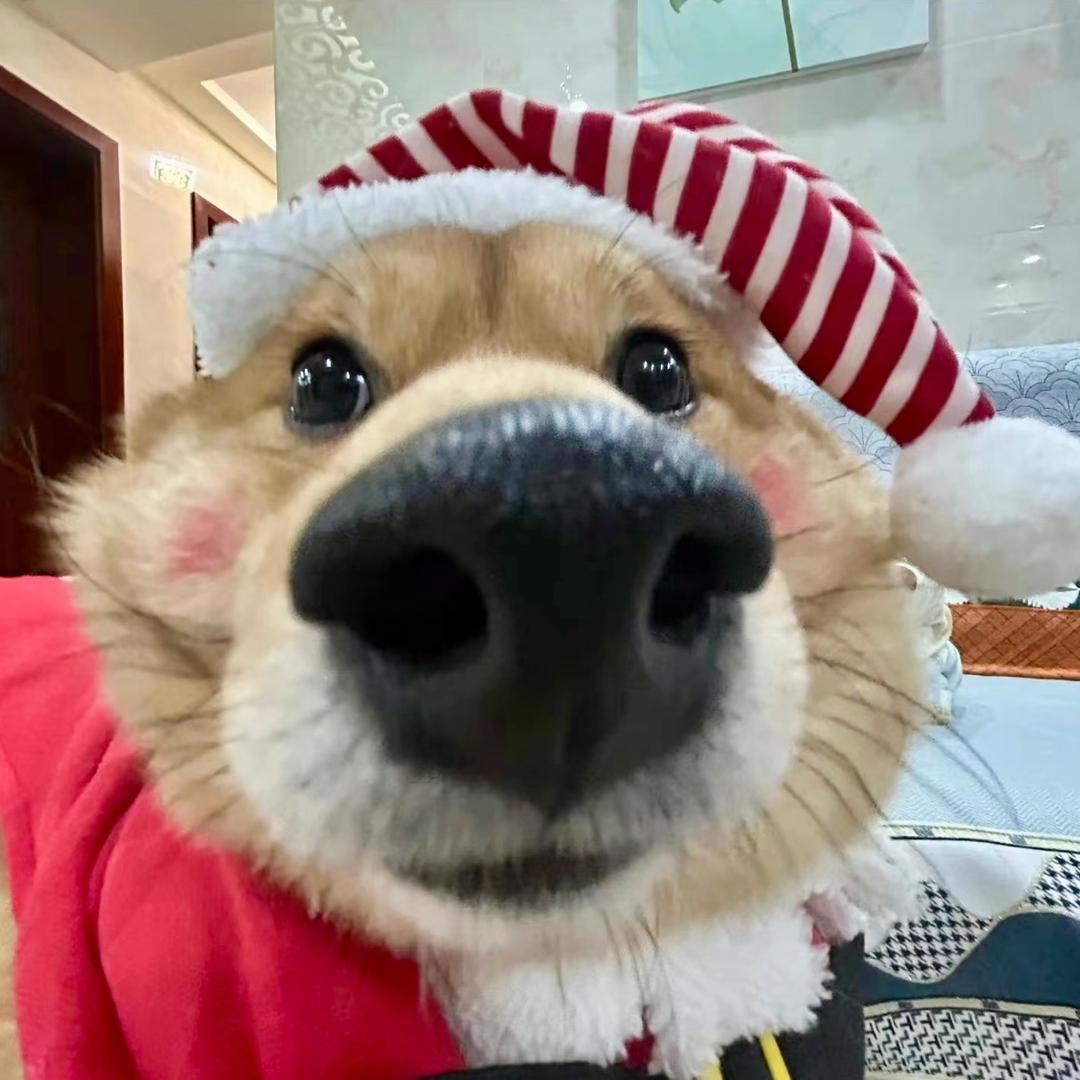 王嘎嘎