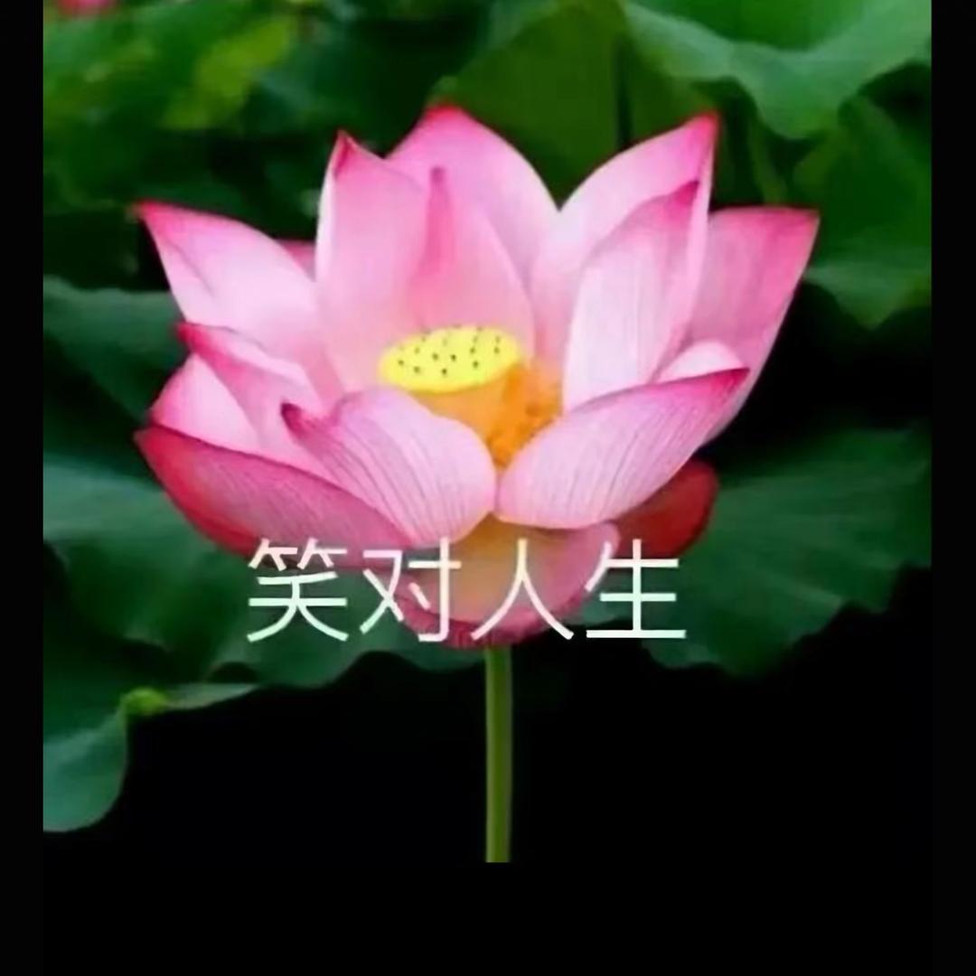 牛牛，