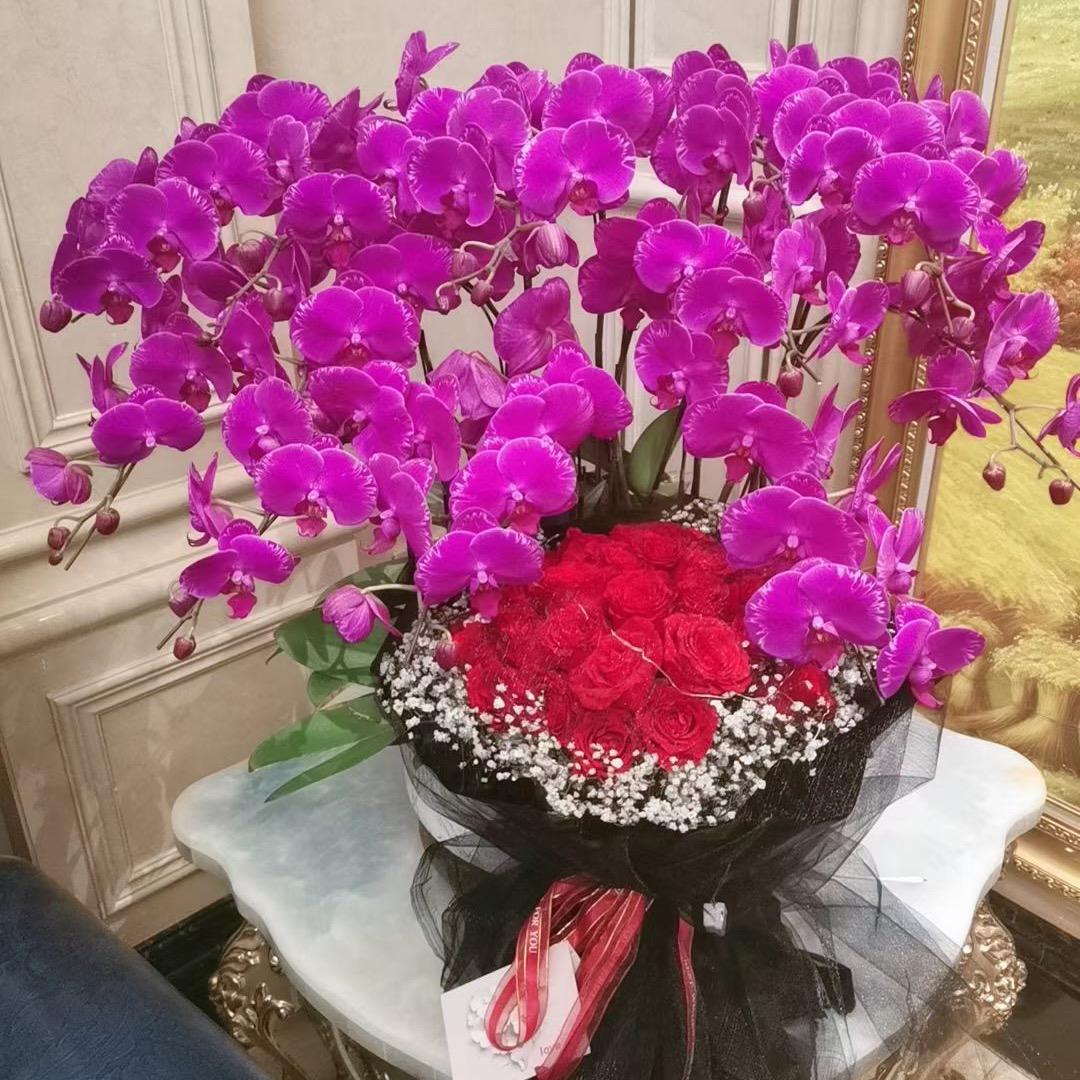 新泰渔港、萍姐