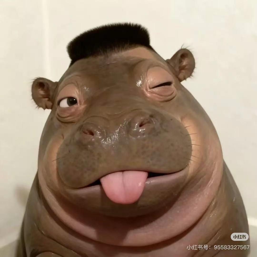 张二蛋