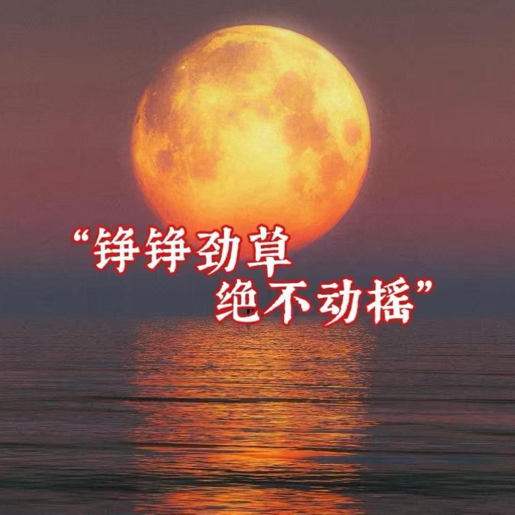 霸道哥