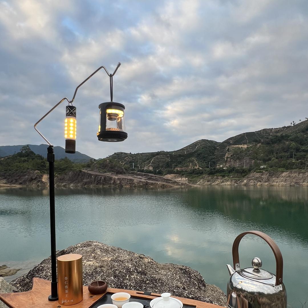 （诚毅茶业）单丛茶原产地