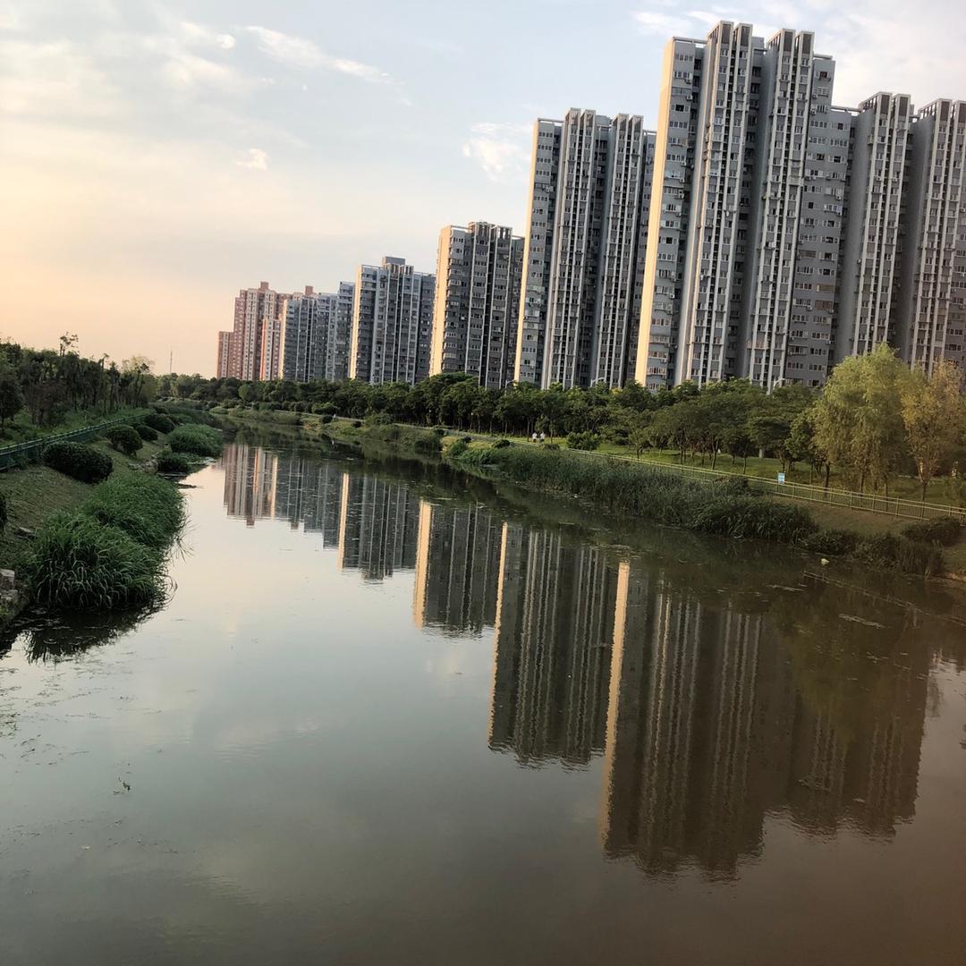 阿德