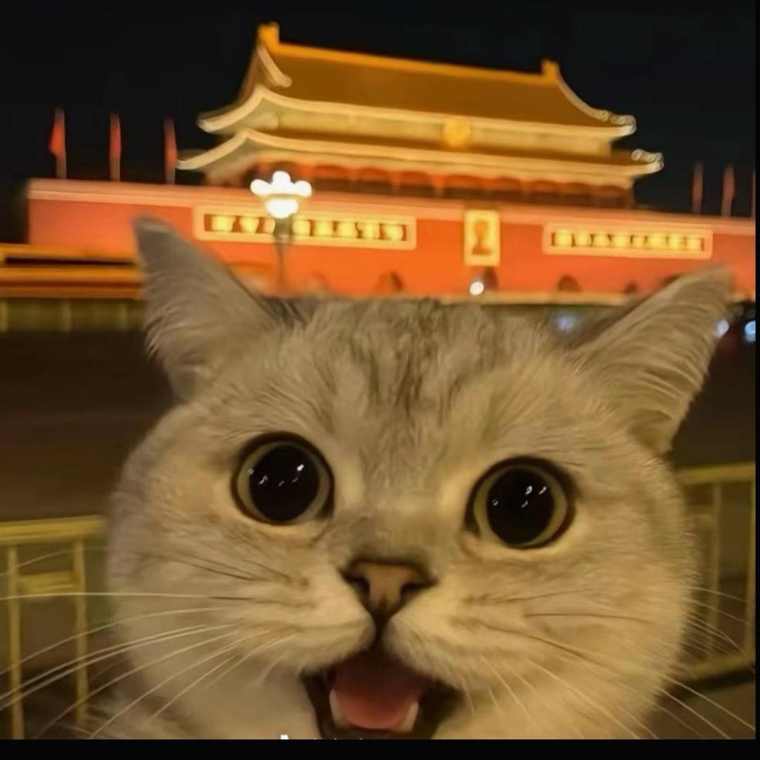 坤灵