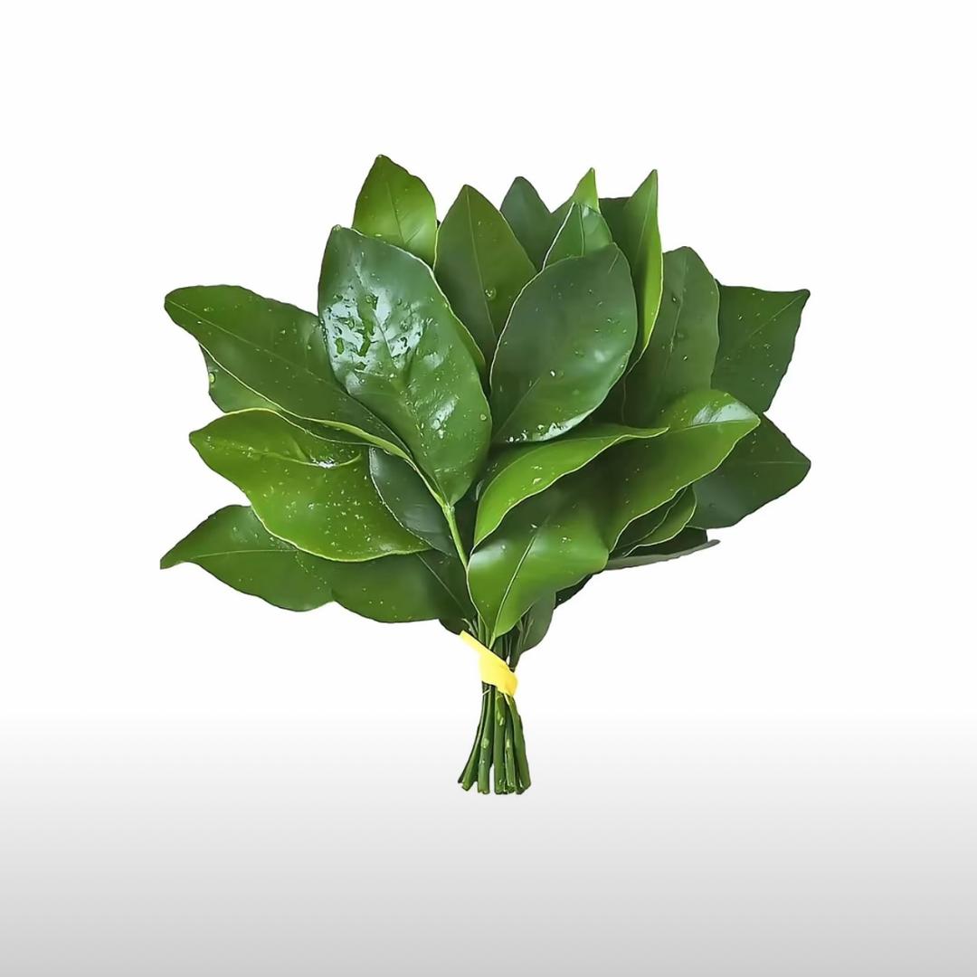 慧吖～