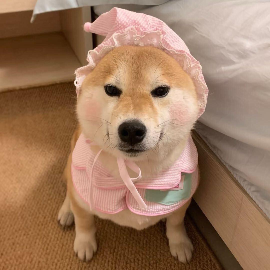 地主.