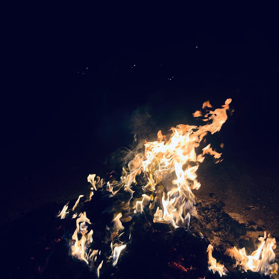 囍（MiSS才）Kimi