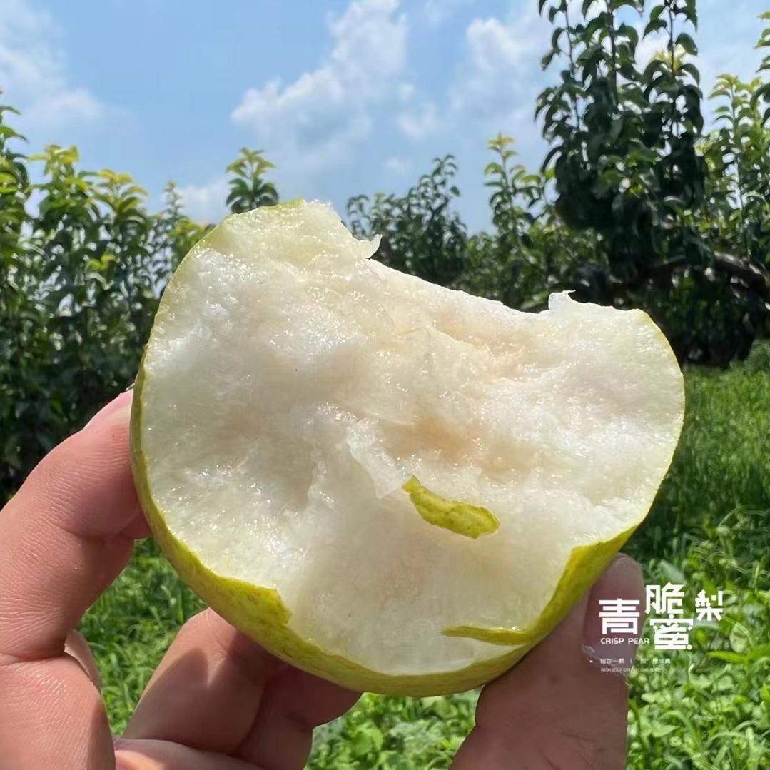 果璨生鲜