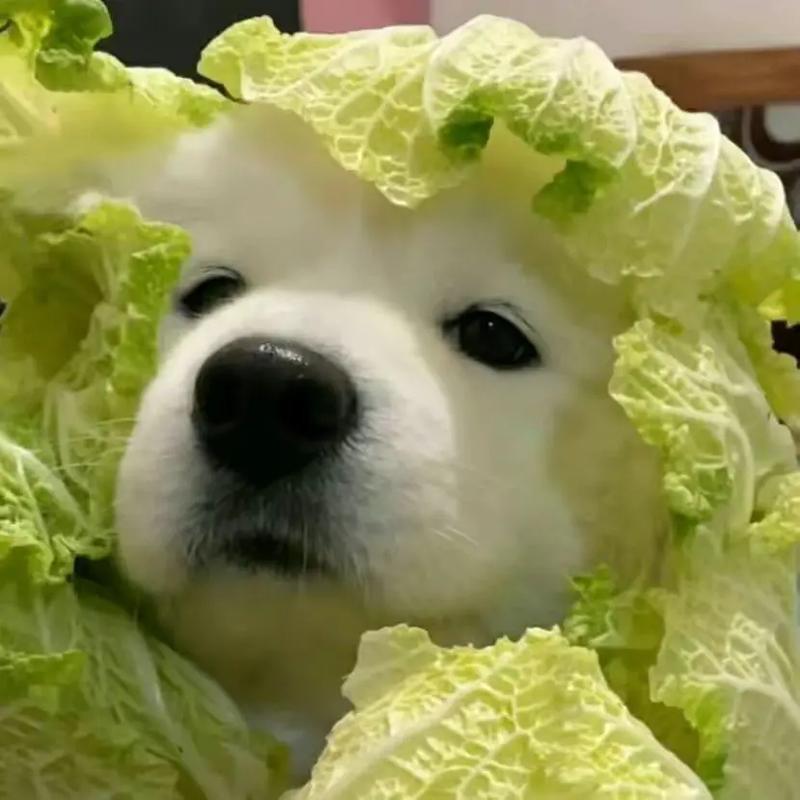 取虑科技