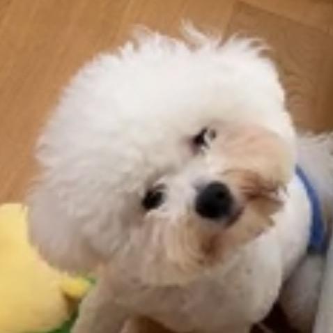 挣钱养翠花