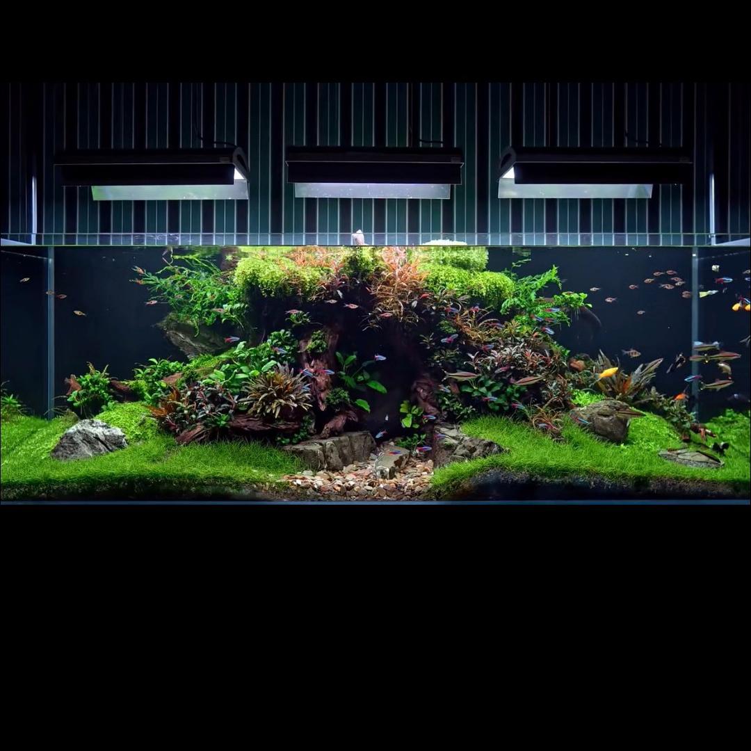 一草一木
