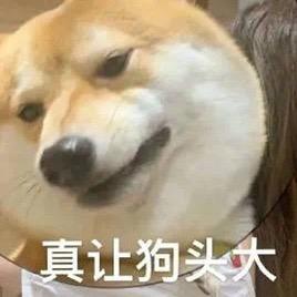 辛夷📷摄像爱好