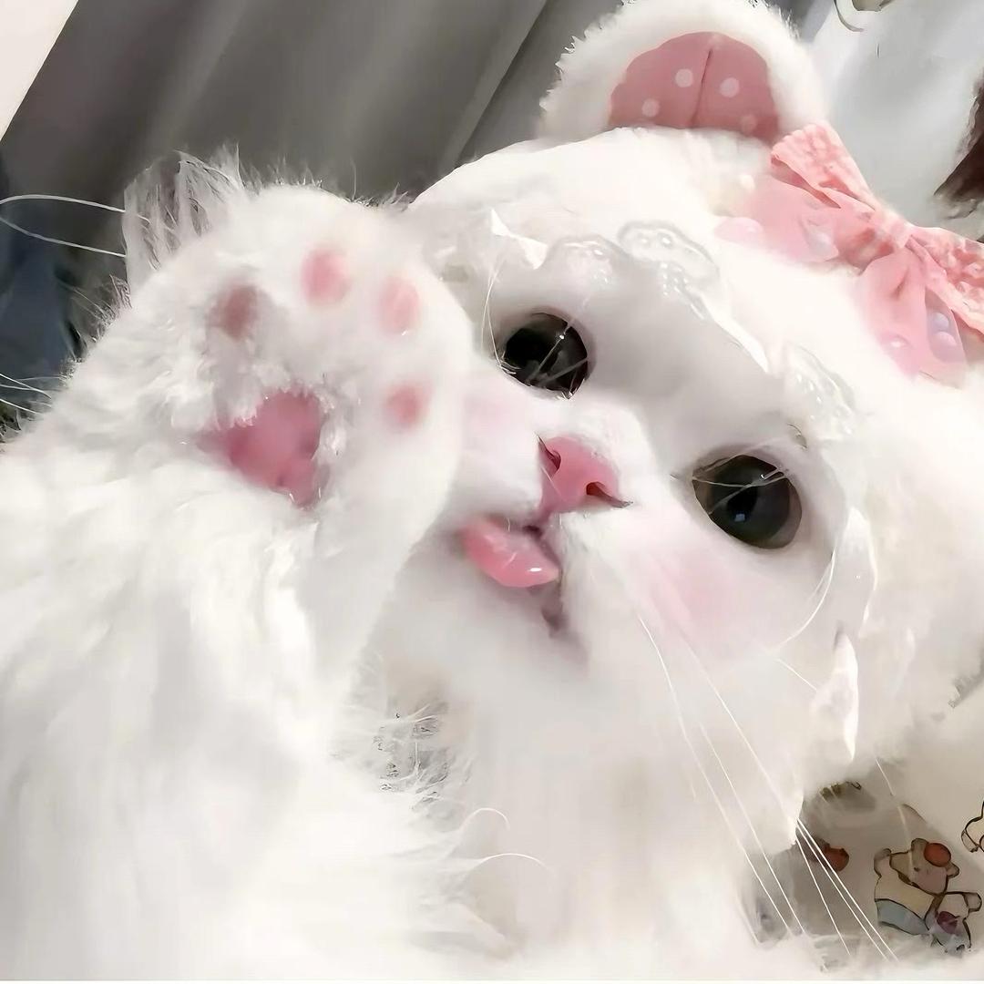 K𝑘_ ᥫᩣ