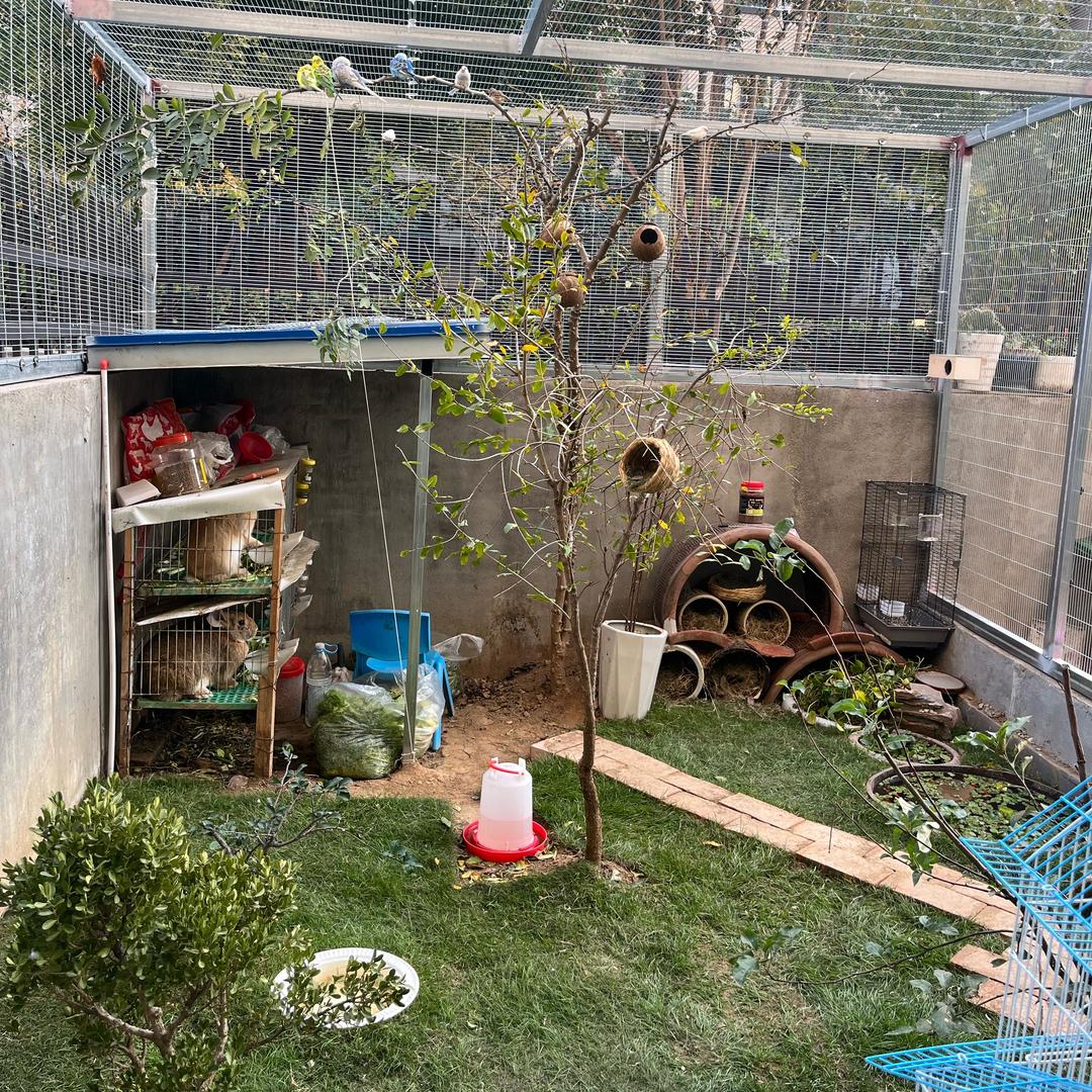 晨哥的小院.露台