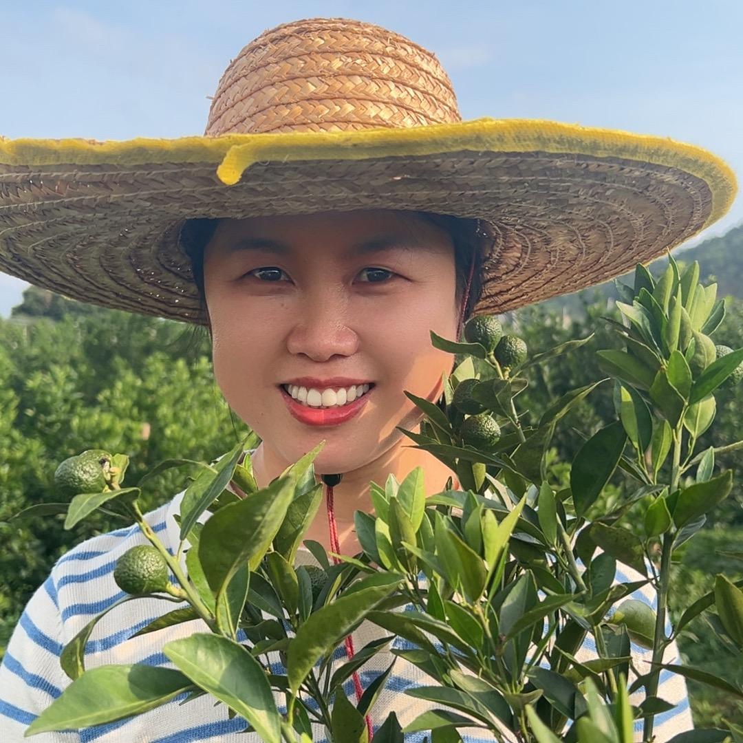 新会小莲地道陈皮