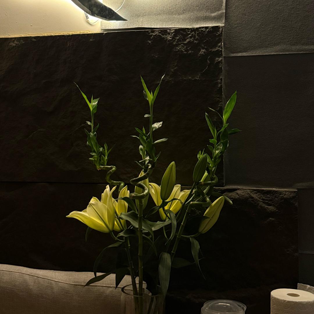 天赫╭╯　　　༽