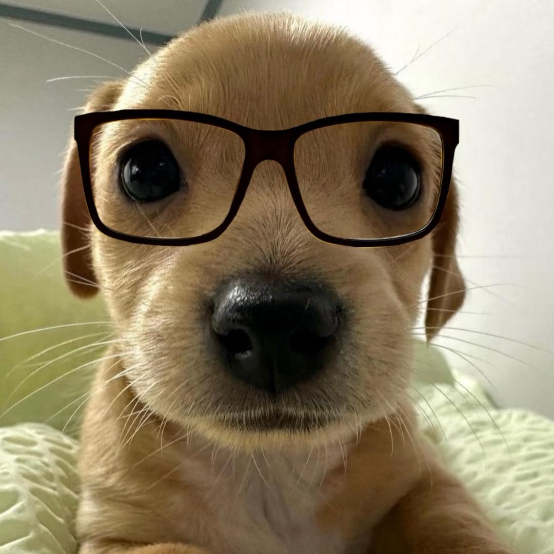 圈圈^