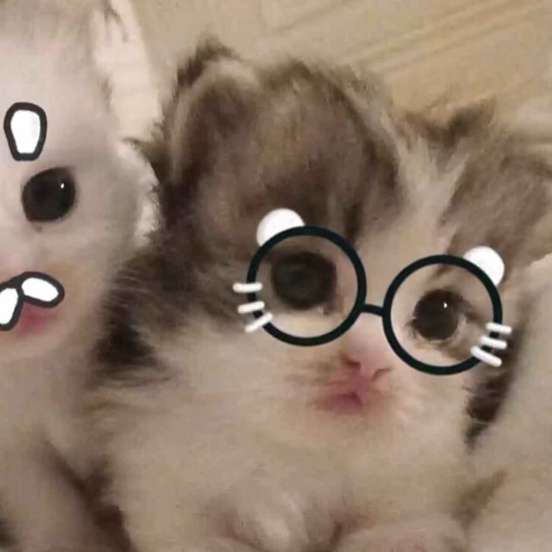 hyHy.L