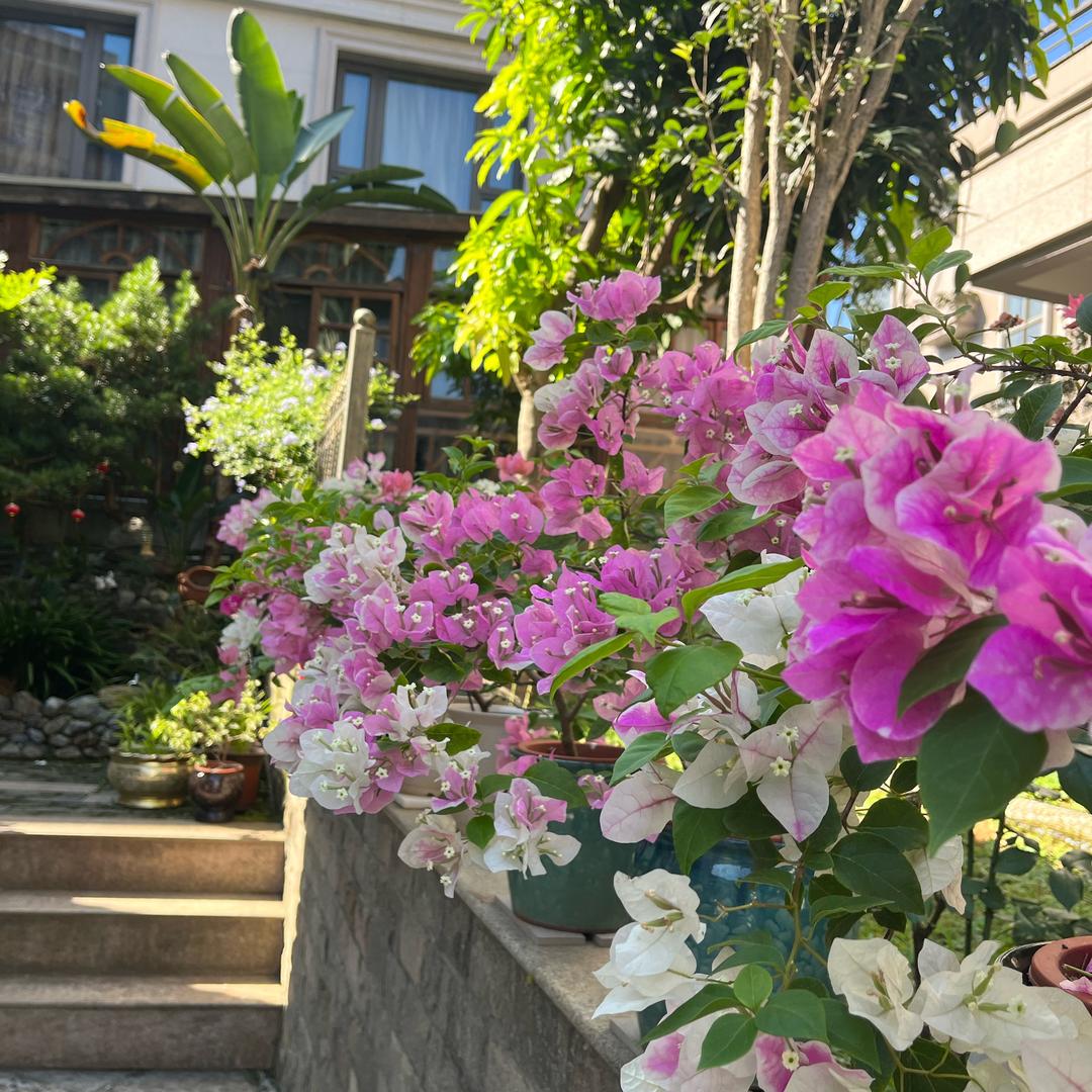 厦天