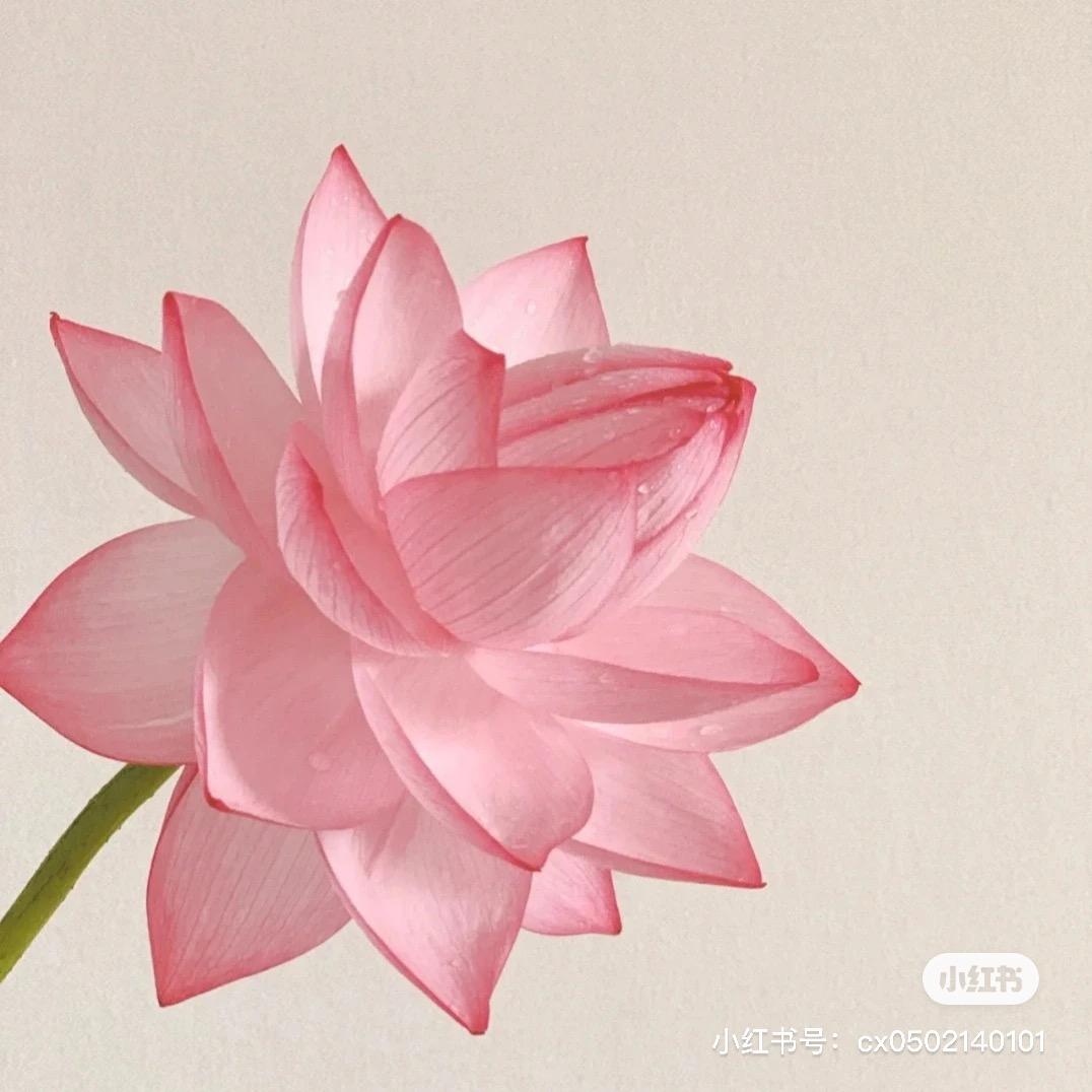 翠花·