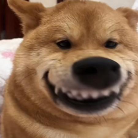 Xy🎊快快乐乐