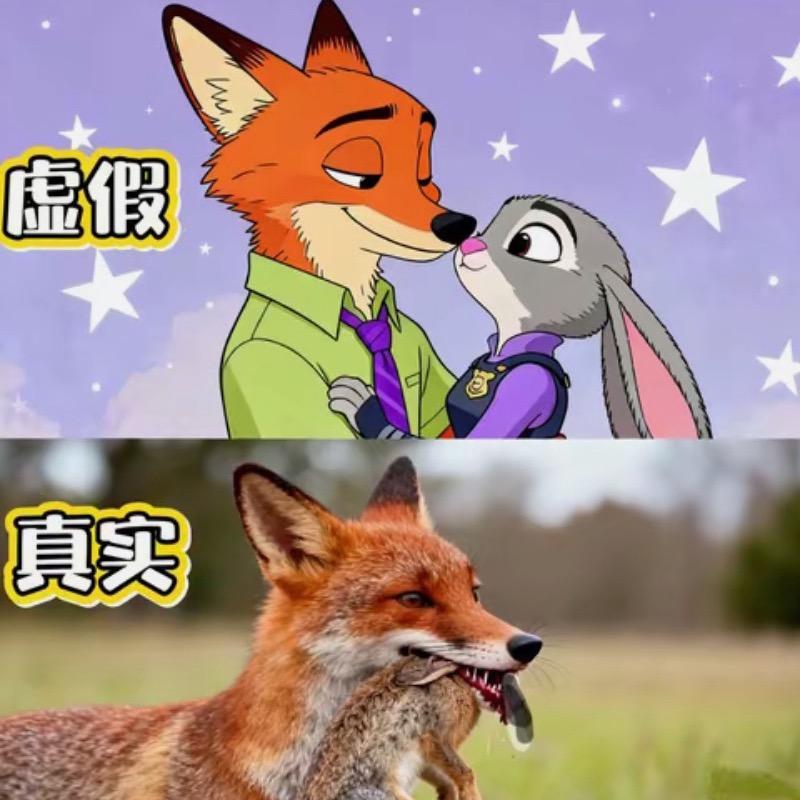 颜盼儿
