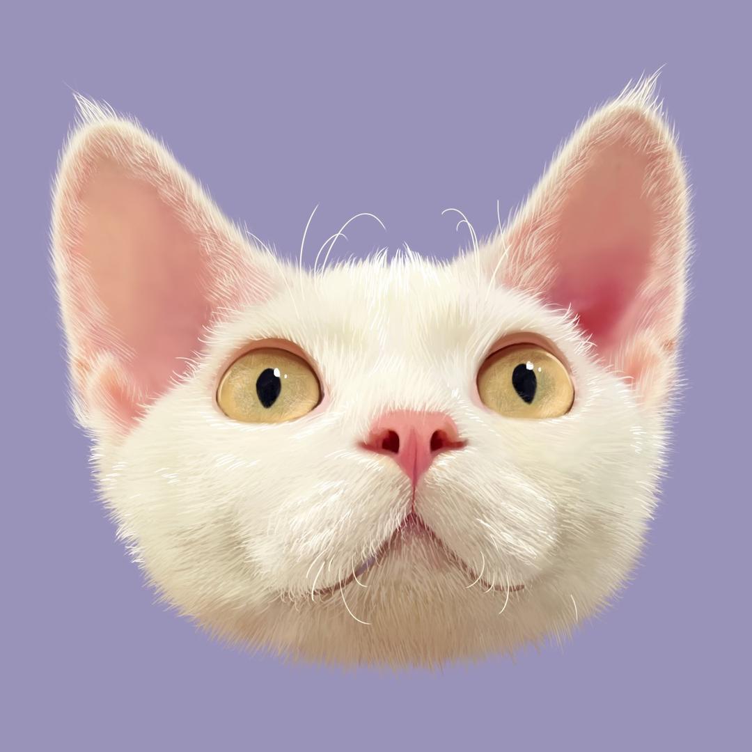 我叫Biggie呀（省钱版）