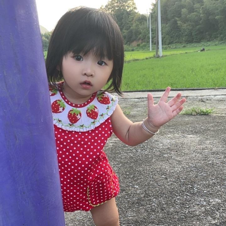 粉笔灰与童话书📚