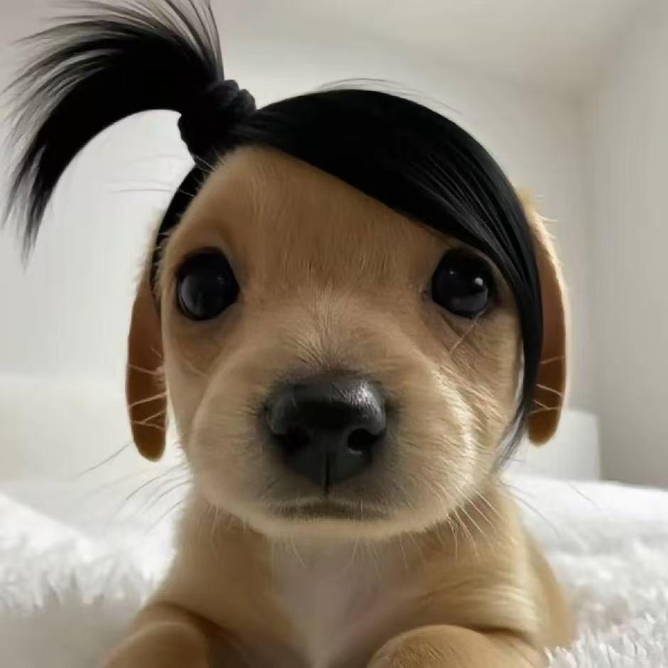 小杨总丶
