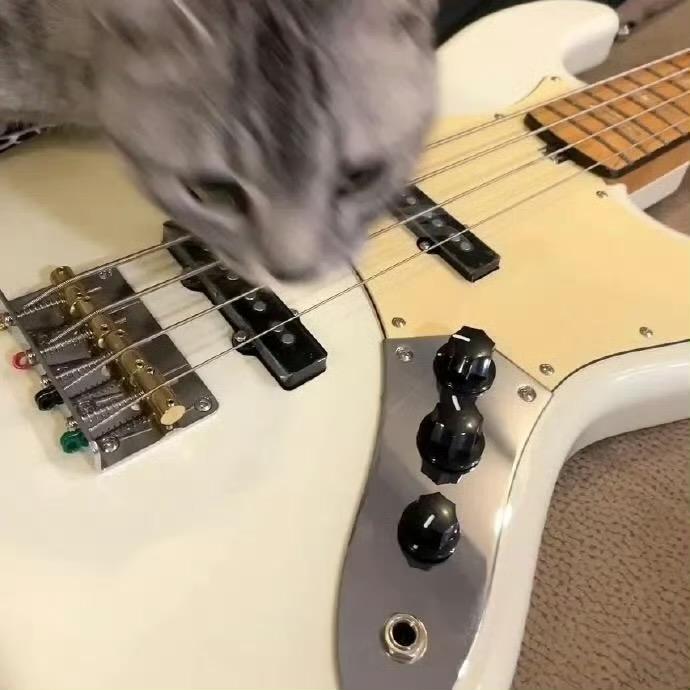 海盗狂炫蛋黄派