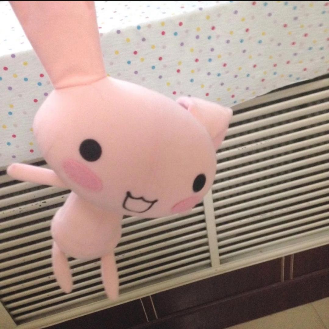 芒狗