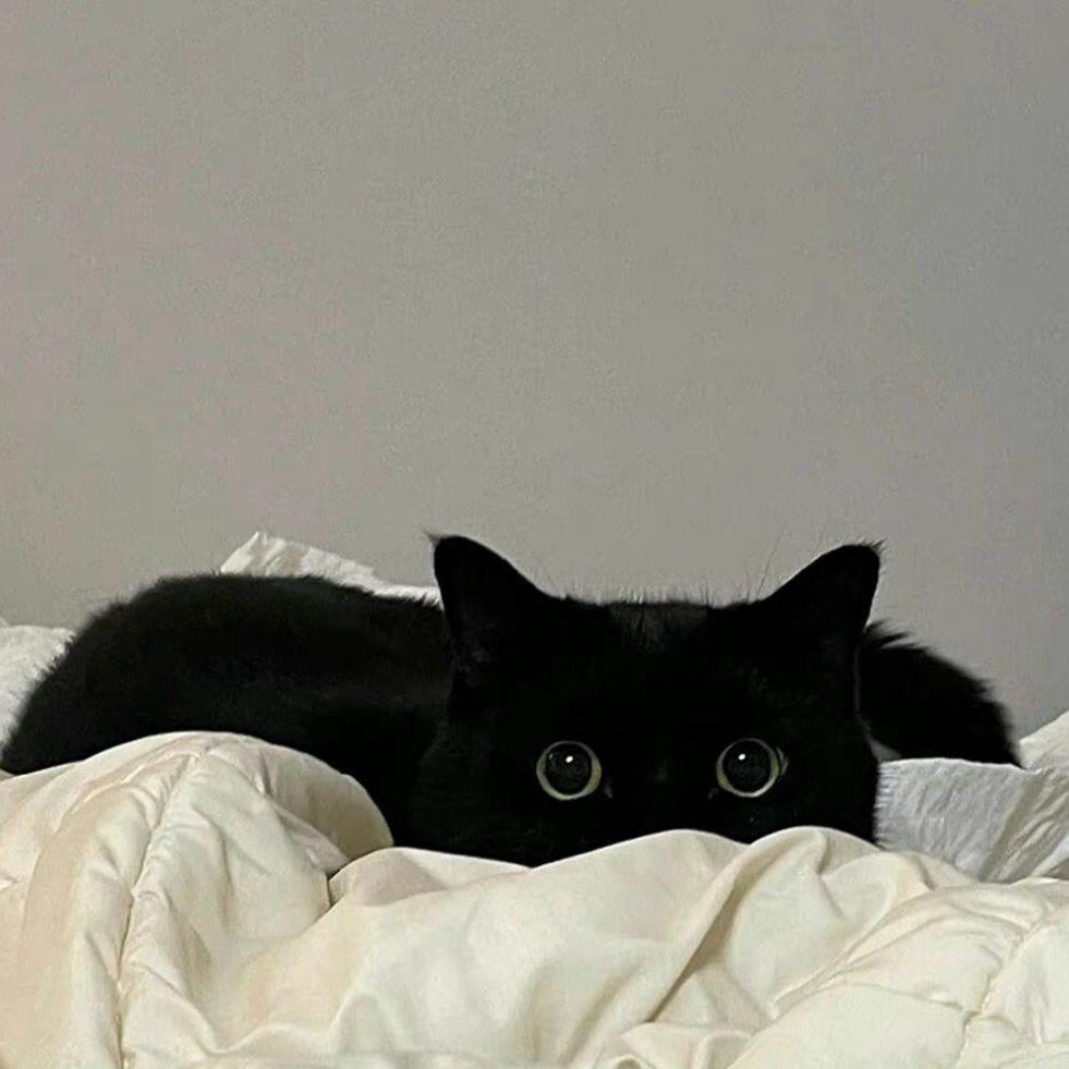 叁佰.