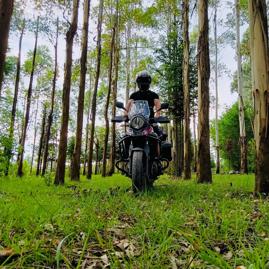 跑步的（男）骑（关赞互）