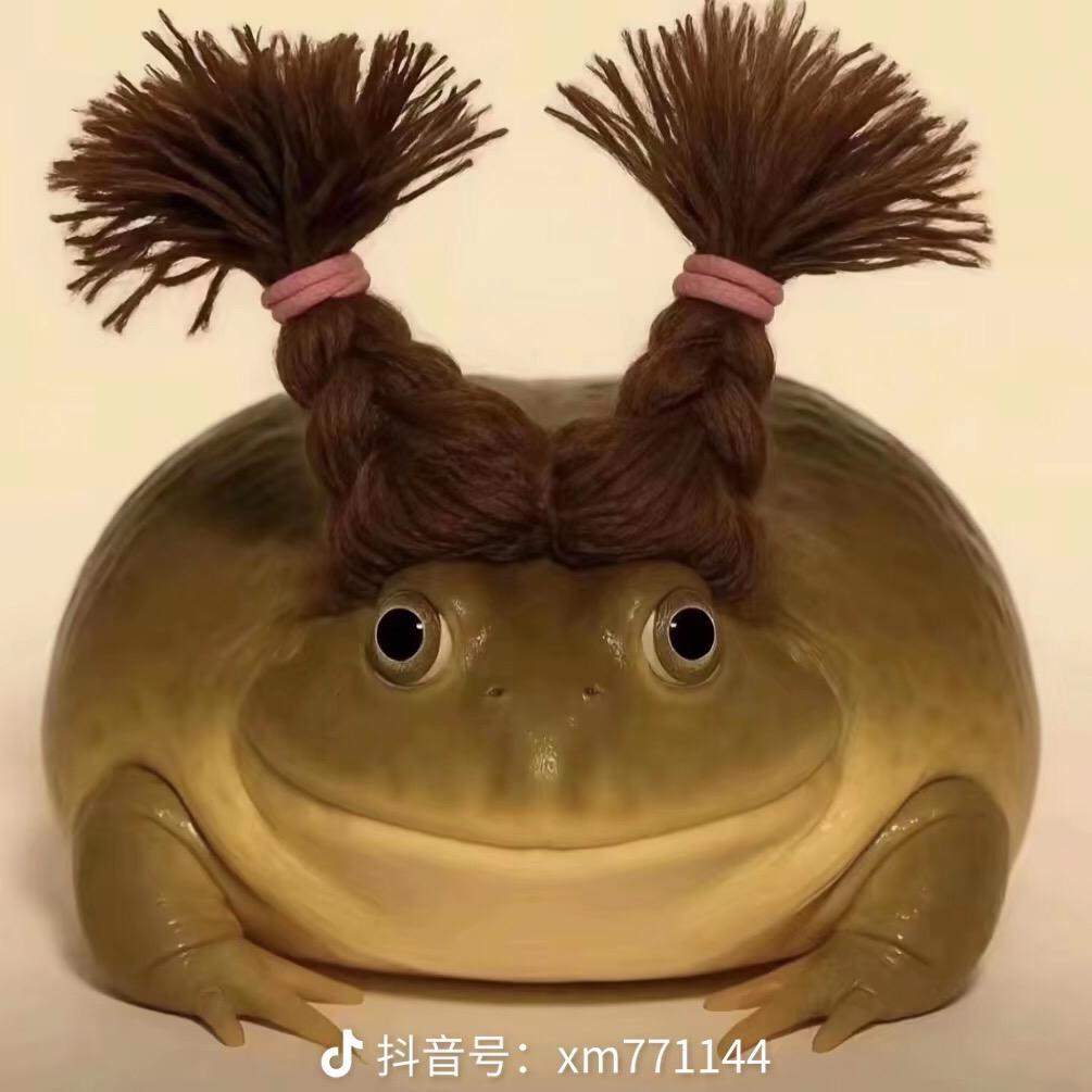 江月行宫癞疙宝(5)