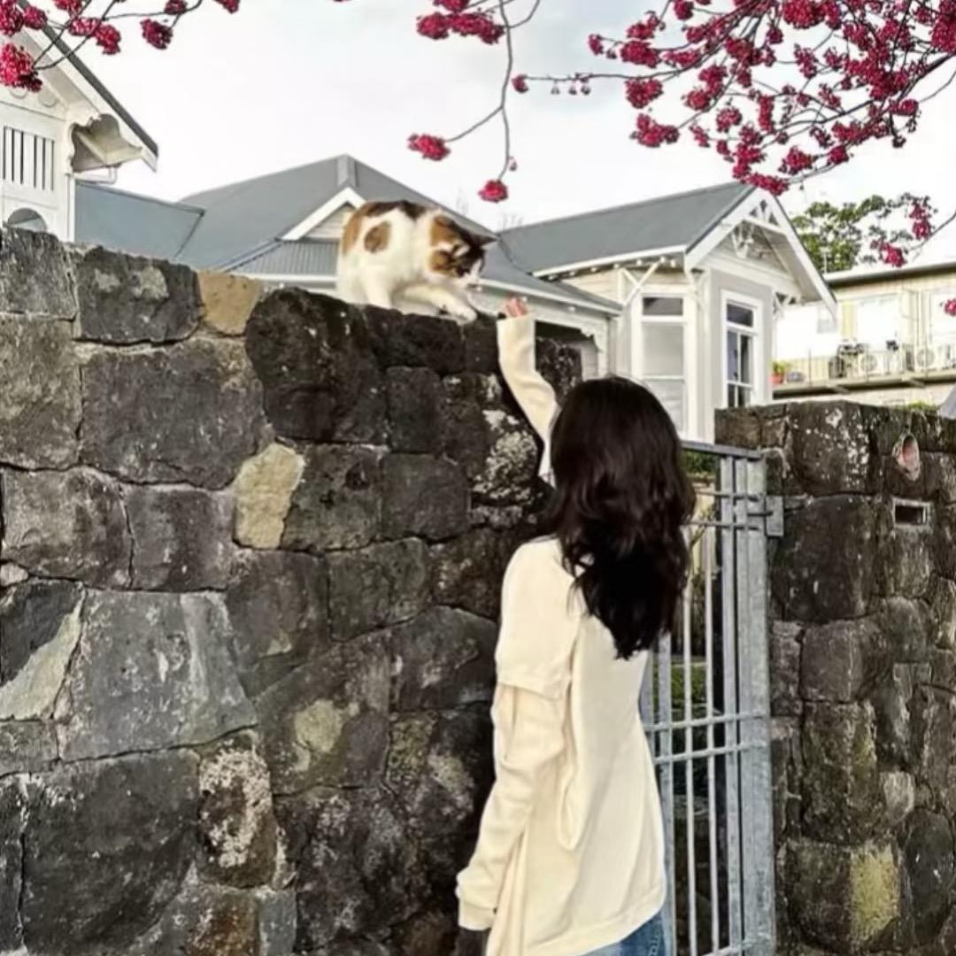 艺凡