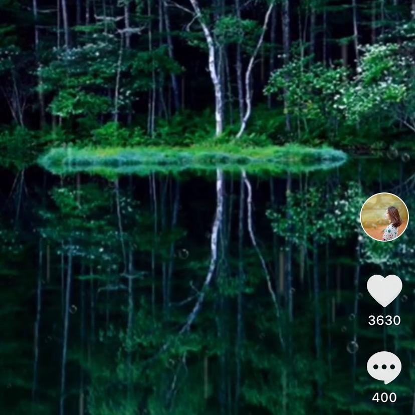 等待明天