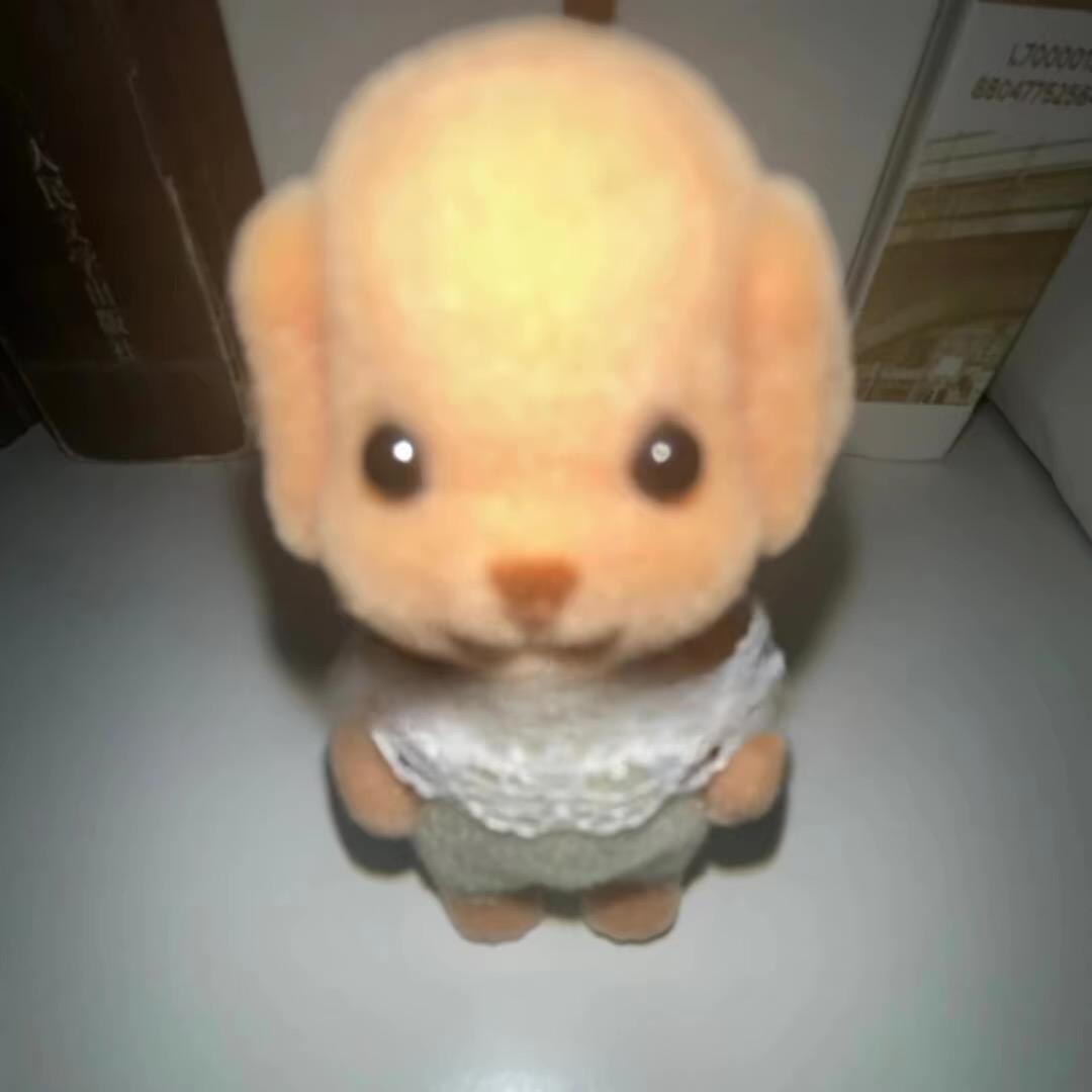 裴东来