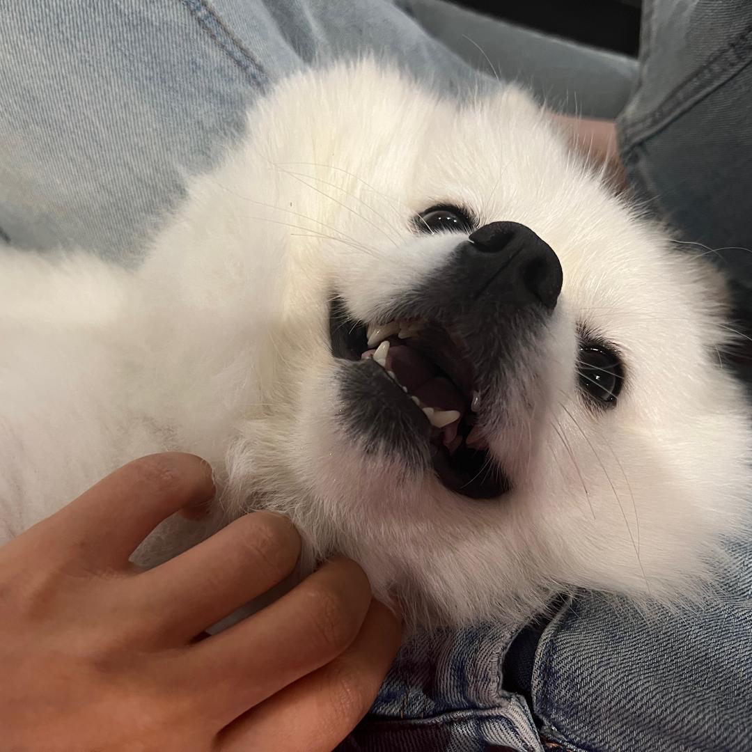 莹莹啊