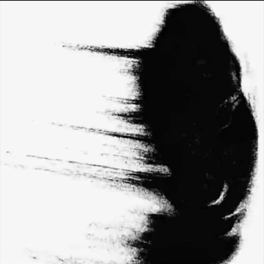 豪