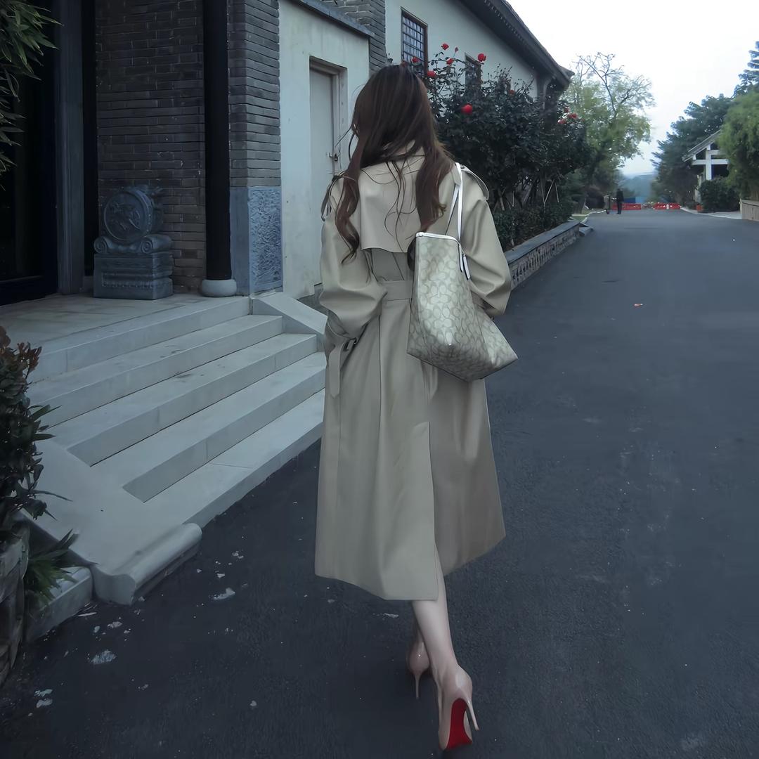 窦房结   .