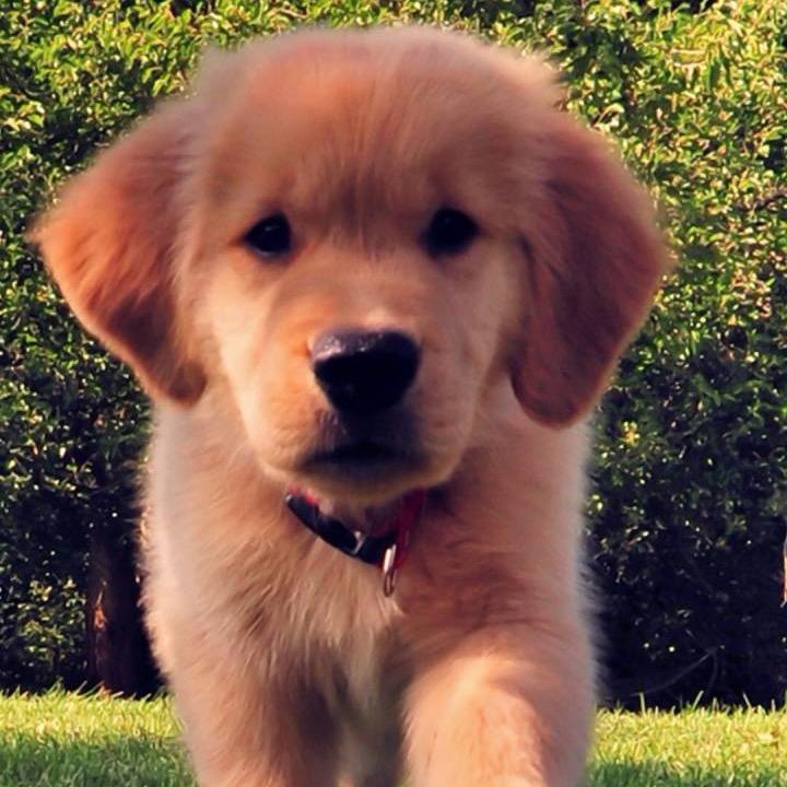 顶天立地!就是我!