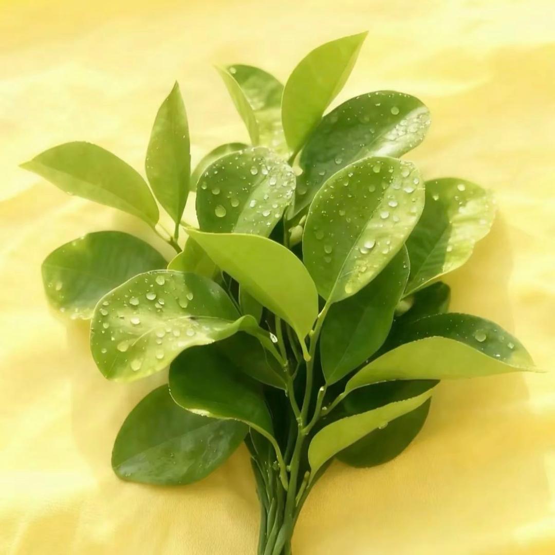 🌈🌈锦鲤小富婆🌈🌈