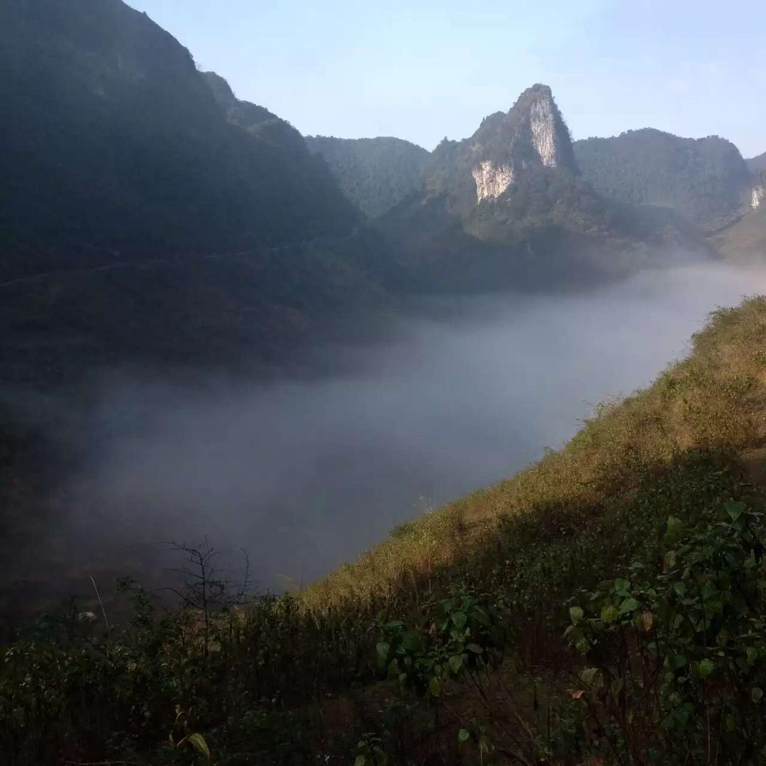被太阳眷顾的男人