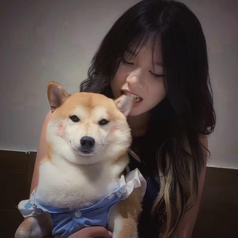 珠珠