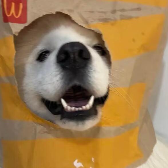 铁啾啾
