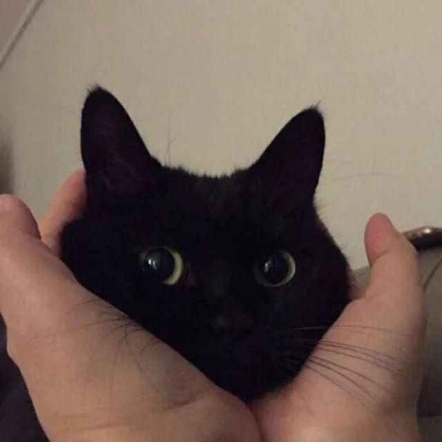 葛泥优选生鲜店