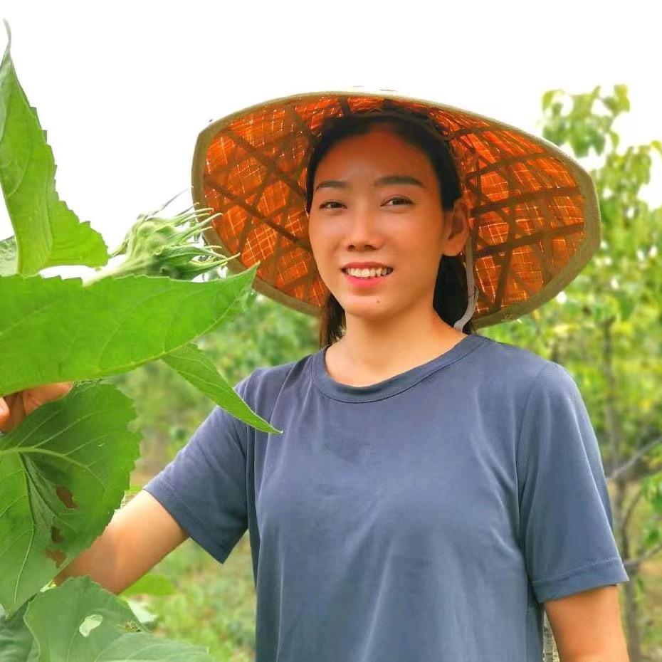 五月的麦穗