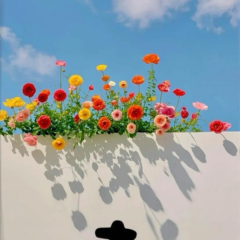 幸运儿👧🍉🍬