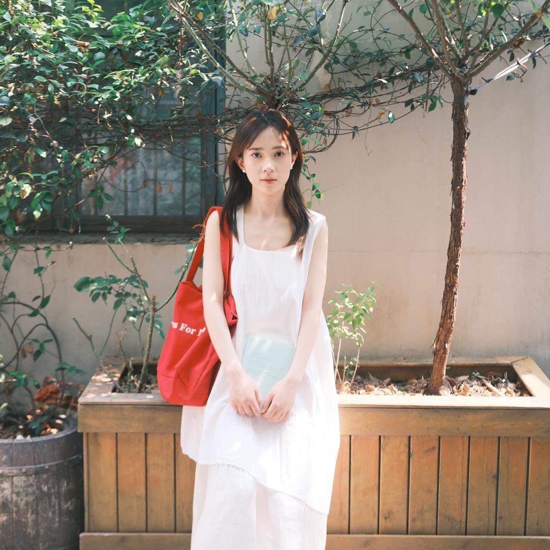 鸽子🕊️